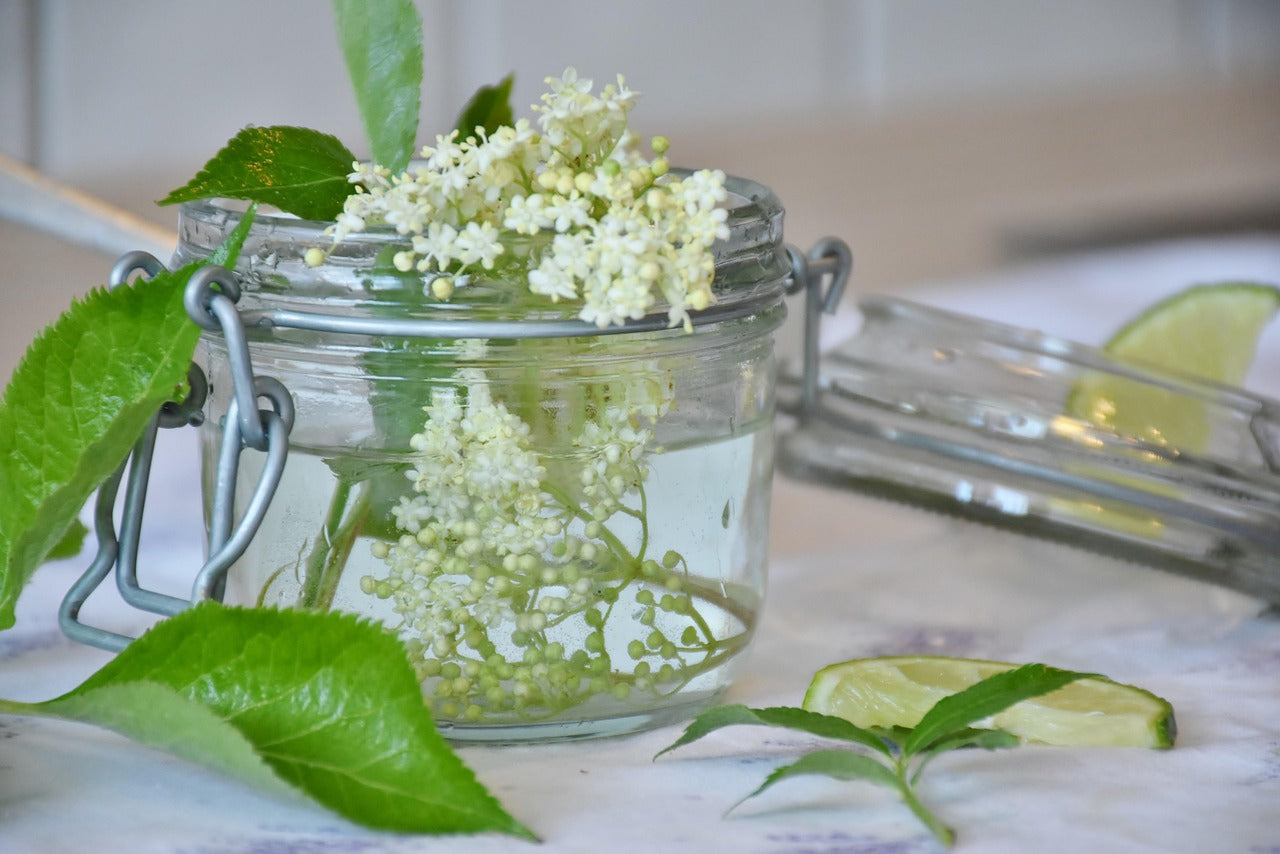 Cocktail Fleur de Sureau : 4 idées de recettes