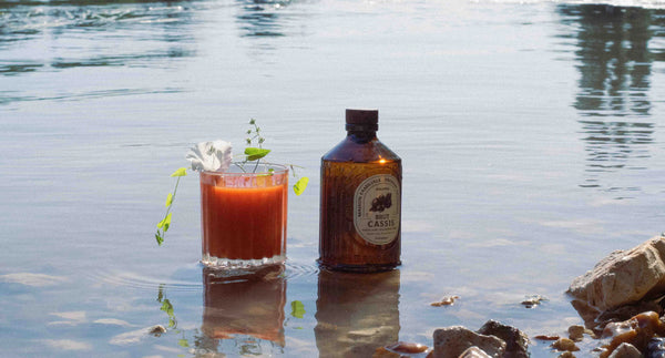 Recette mocktail Cranberry carotte