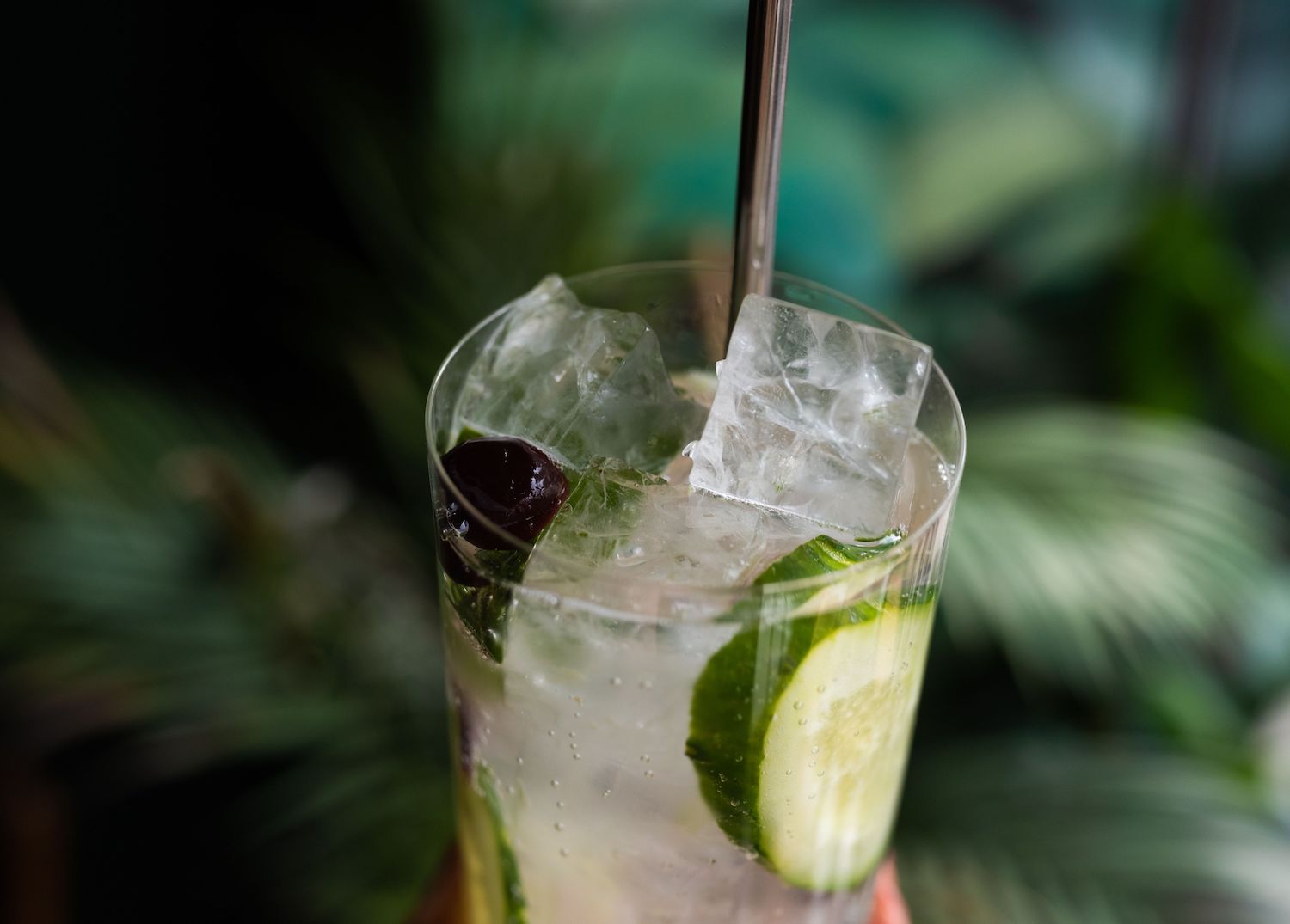 Recette Gin Tonic Concombre