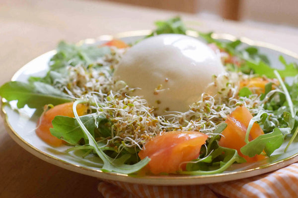 Recette Salade d'été aux graines germées